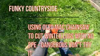 Using Oleo Mac chainsaw to cut winter logs with no PPE dangerous dont try it [upl. by Okim863]