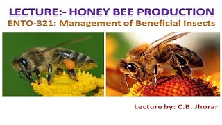 ENTO 321 Lecture 5 Bee Pasturage Foraging Communication and Seasonal management [upl. by Nemzzaj451]