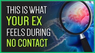 7 Things Your Ex Feels During No Contact [upl. by Aleahc]