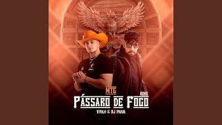 MTG Pássaro de Fogo Remix [upl. by Uis]