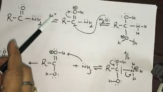 Mechanism of Hydrolysis of Cyanides Nitriles By Dr Manu Kaushal [upl. by Eninnaj418]