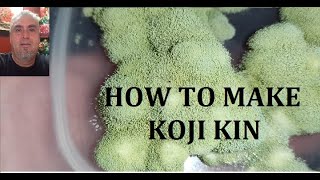 HOW TO MAKE KOJI KIN ASPERGUILLUS ORYZAE [upl. by Shepp]