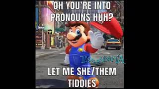 Mario Pronouns Meme [upl. by Ogu]