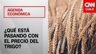 Preocupación en el sector agrícola por el precio del trigo  Agenda Económica [upl. by Epperson]