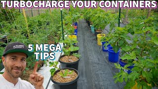 Do This NOW To Turbocharge Your Container Garden [upl. by Leshia979]