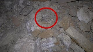 What The Heck Did I Find In This ABANDONED Nevada Gold amp Silver Mine Tunnel Is It A Bat Or A Bird [upl. by Theo881]