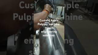 Custard apple pulping machine Contact Number 7798839262 [upl. by Annirak]