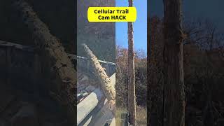 Cellular Trail Cam Antenna HACK for MAXIMUM Range [upl. by Airotel808]