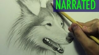 How to Draw a Dog Narrated Step by Step [upl. by Koziel980]