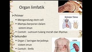 sistem limfatik [upl. by Anewor]