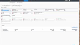 Concur Expensing Meal Costs via Per Diem [upl. by Olaf592]