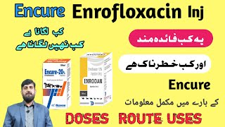 Encure Enrofloxacin Inj  Enrofloxacin Uses In Cattle Buffalo  Antibiotic Use In Animals  Disease [upl. by Philipps]