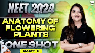 Anatomy of Flowering Plants  One shot  Part 2  NEET 2024  Seep Pahuja [upl. by Massey]