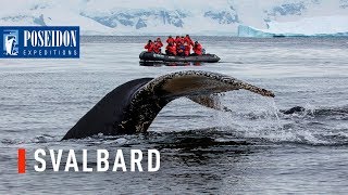 Svalbard in 1 minute  The ultimate Arctic getaway [upl. by Burrows]