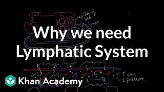 Why we need a lymphatic system  Lymphatic system physiology  NCLEXRN  Khan Academy [upl. by Seka]