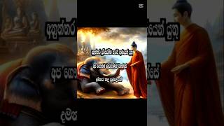 බුදුරජාණන් වහන්සේ දමනය කල පුද්ගලයන් 😱🙏💞 budurajanan vahanse damanaya kala pudgalayan buddhaforyou [upl. by Ainollopa]