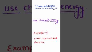 CHEMOAUTOTROPHS  defination and example neet [upl. by Naujik]