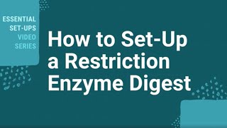 How Do I Setup A Restriction Enzyme Digest [upl. by Yager]