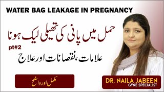 Hamal Mein Pani Ke Theli Leak Hona  Water Bag Leakage in Pregnancy Causes Symptoms amp Treatment [upl. by Garfinkel862]