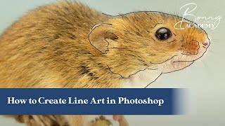 How to Create Line Art Using Photoshop  Top Tips [upl. by Komsa242]