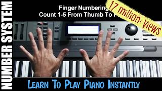 Learn To Play Piano Instantly 1 Beginning Training Pro Shortcuts [upl. by Irmina]