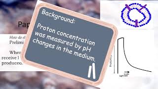 How Do Electron Transport Chains Do What They Do [upl. by Cristina79]