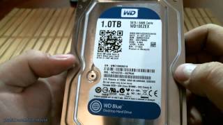 Жесткий диск Western Digital Caviar Blue WD10EZEX 1TB Распаковка  микрообзор [upl. by Libenson]