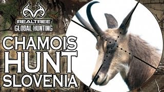 EPIC Chamois Hunting in Slovenia [upl. by Sassan]