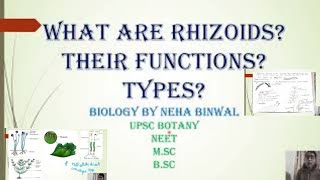 Rhizoids I Function of Rhizoid I Its Types I UPSC Botany NEET MSc BSc [upl. by Halueb]