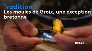 Tradition  les moules de Groix une exception bretonne [upl. by Sikko]