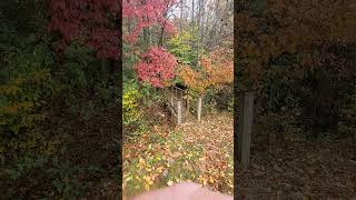 Beautiful fall day at bridge by Laurel lake bridge [upl. by Meingoldas]