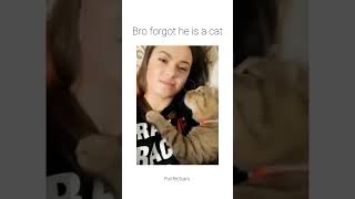 Did she trigger something unwillingly kitty funnyvideo cat funny catlover hunting fun viral [upl. by Yaeger]