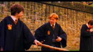 Funny Weasley Scene 19  Ron gets whacked [upl. by Galitea]