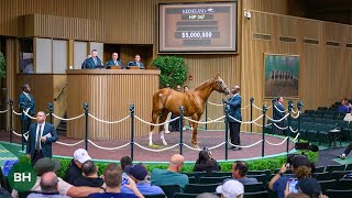 Curlin Power Delivers 5 Million Colt at Keeneland September Yearling [upl. by Lemor]