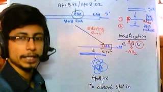 RNA editing mechanism [upl. by Dahlia603]