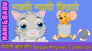 Meow Meow Biralo  Myau Myau Biralo Extended Mix  30 Mins  Nepali Rhymes  बाल गीत [upl. by Grubb]