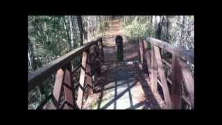 The Palmetto Trail  Swamp Fox Passage Part 1 [upl. by Yauqram295]