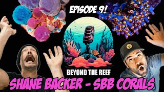 Episode 09 SBB Corals Shane Backer [upl. by Jollanta267]