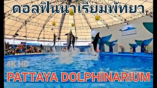 PATTAYA DOLPHINARIUM  ดอลฟินนาเรียมพัทยา  🇹🇭  FULL SHOW  2022 [upl. by Anaidiriv]