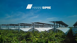 Manni Sipre  Impianto agrivoltaico avanzato [upl. by Lati181]