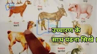 Domestic animals name  पालतू जानवरो के नाम  learn domestic animals name for kids [upl. by Cailean]