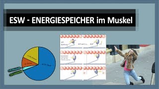 Energiestoffwechsel 14 Energiespeicher der Energiegewinnung  ATP KrP Kohlenhydrate Fette Eiweiß [upl. by Einwat]