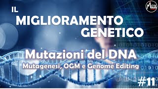 Mutazioni del DNA  Il Miglioramento Genetico 11 [upl. by Dyrraj]