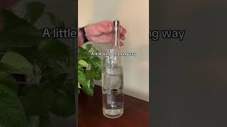 One of the most efficient uses of precious herb [upl. by Glassco]