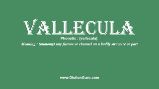 How to Pronounce vallecula with Meaning Phonetic Synonyms and Sentence Examples [upl. by Karena]