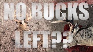 OUR TARGET BUCKS ARE ALL DEAD NOW WHAT [upl. by Eelana733]