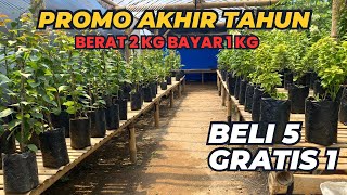 PROMO AKHIR TAHUN  BELI 5 BIBIT GRATIS 1 [upl. by Goldenberg858]