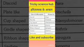 Chloroplast plastidsits types shapes 👍हरितलवक लवक biology cell neet cbse cbse10th yt [upl. by Aloivaf]