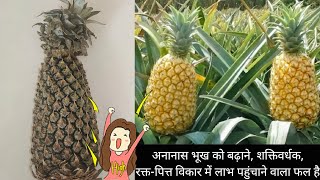 अनानास के सेवन से होने वाले 10 फायदे  Pineapples Benefits in Hindi  Healthy Tips [upl. by Godrich]