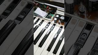 WHY YAMAHA DX7 FEELS SO GOOD [upl. by Zeidman]